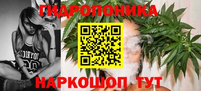 шишки Коммунар