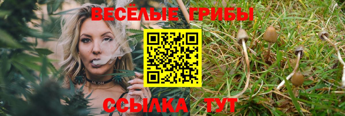 Галлюциногенные грибы прущие грибы Черногорск